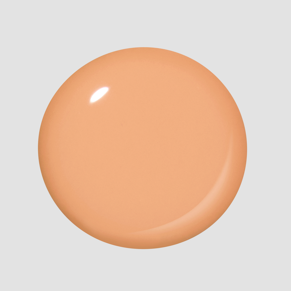 Creamsicle Sorbet Mini