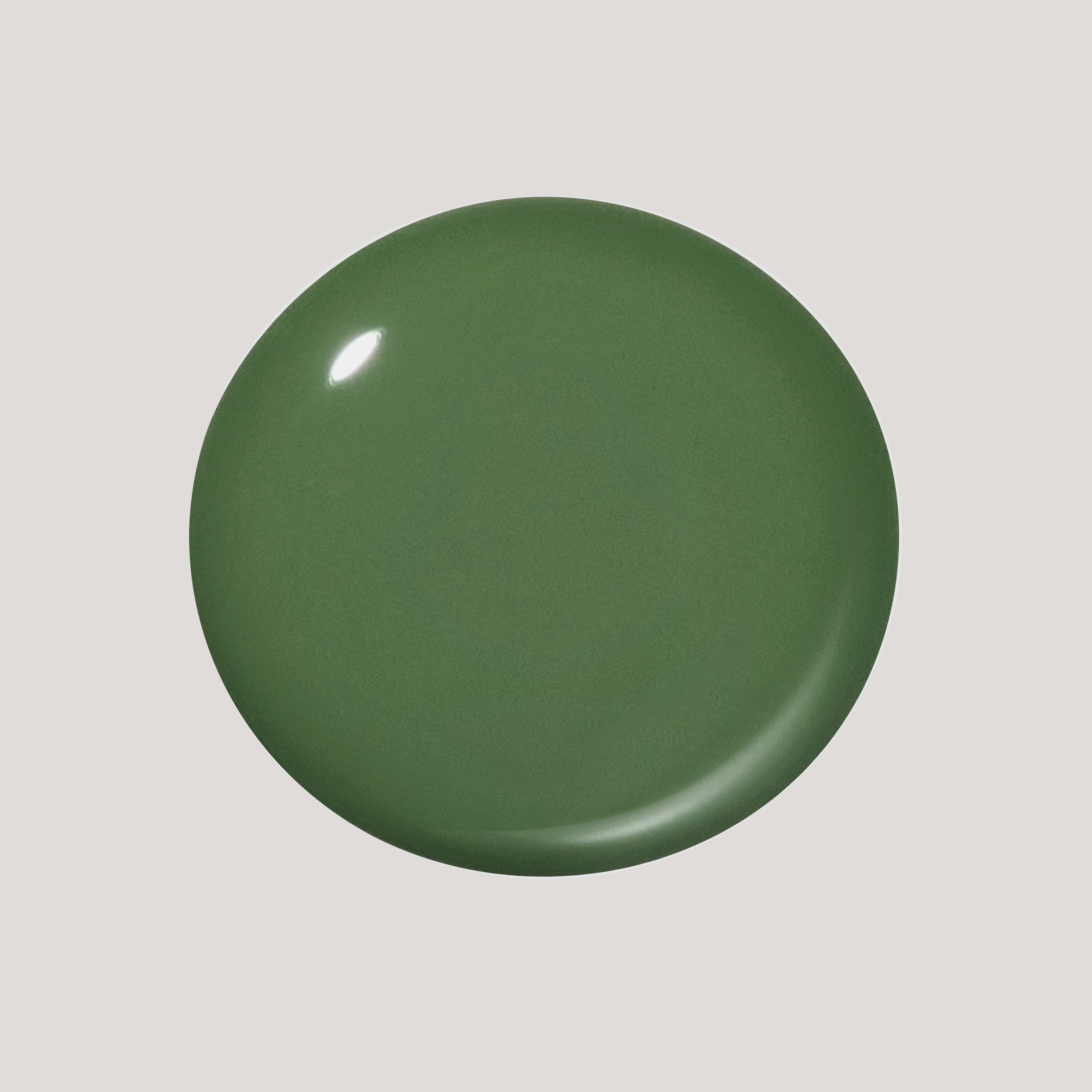 Fern Mini