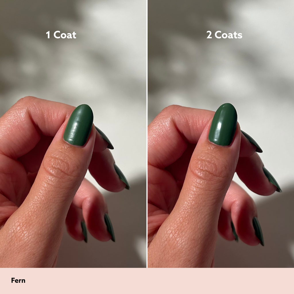 Fern Mini