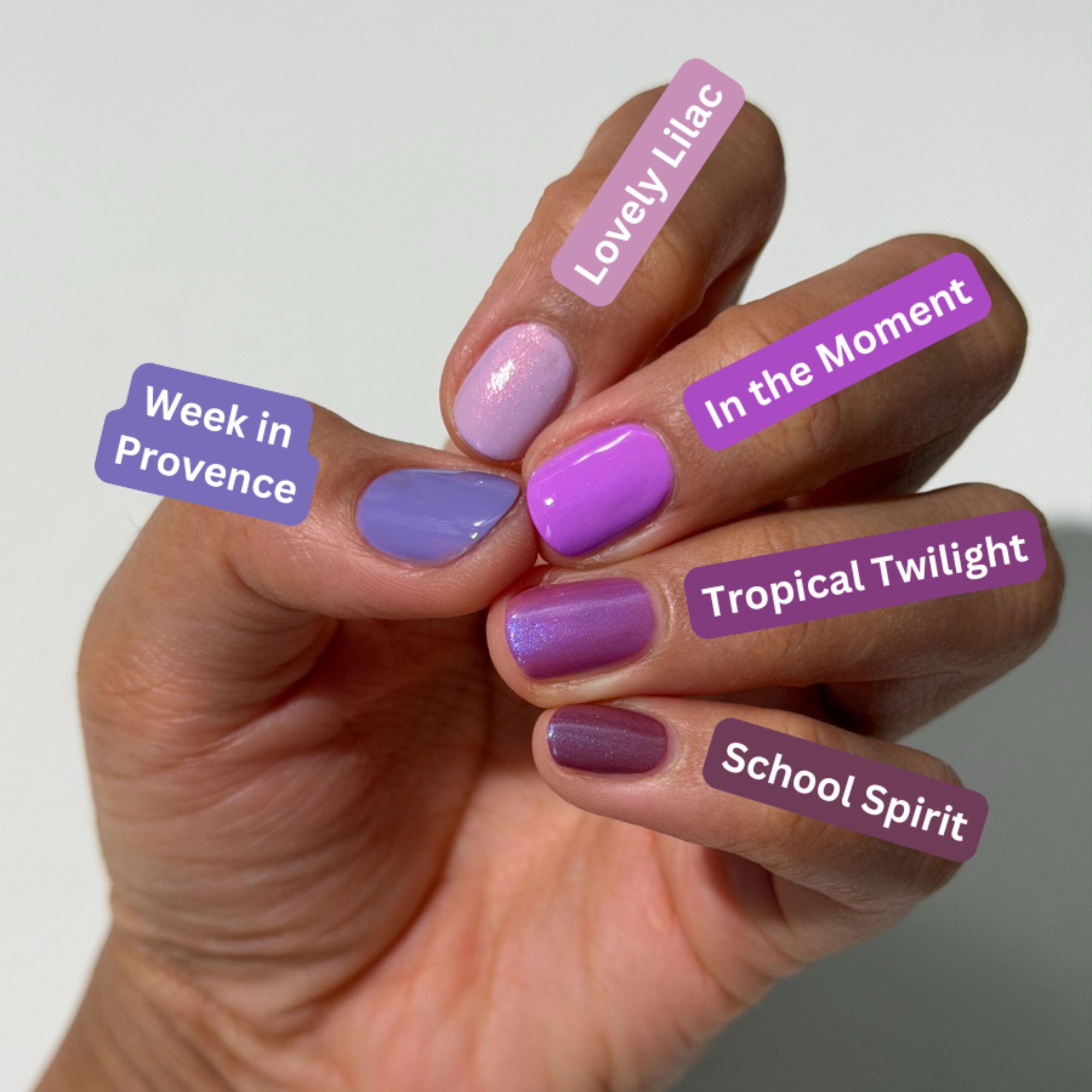 Lovely Lilac
