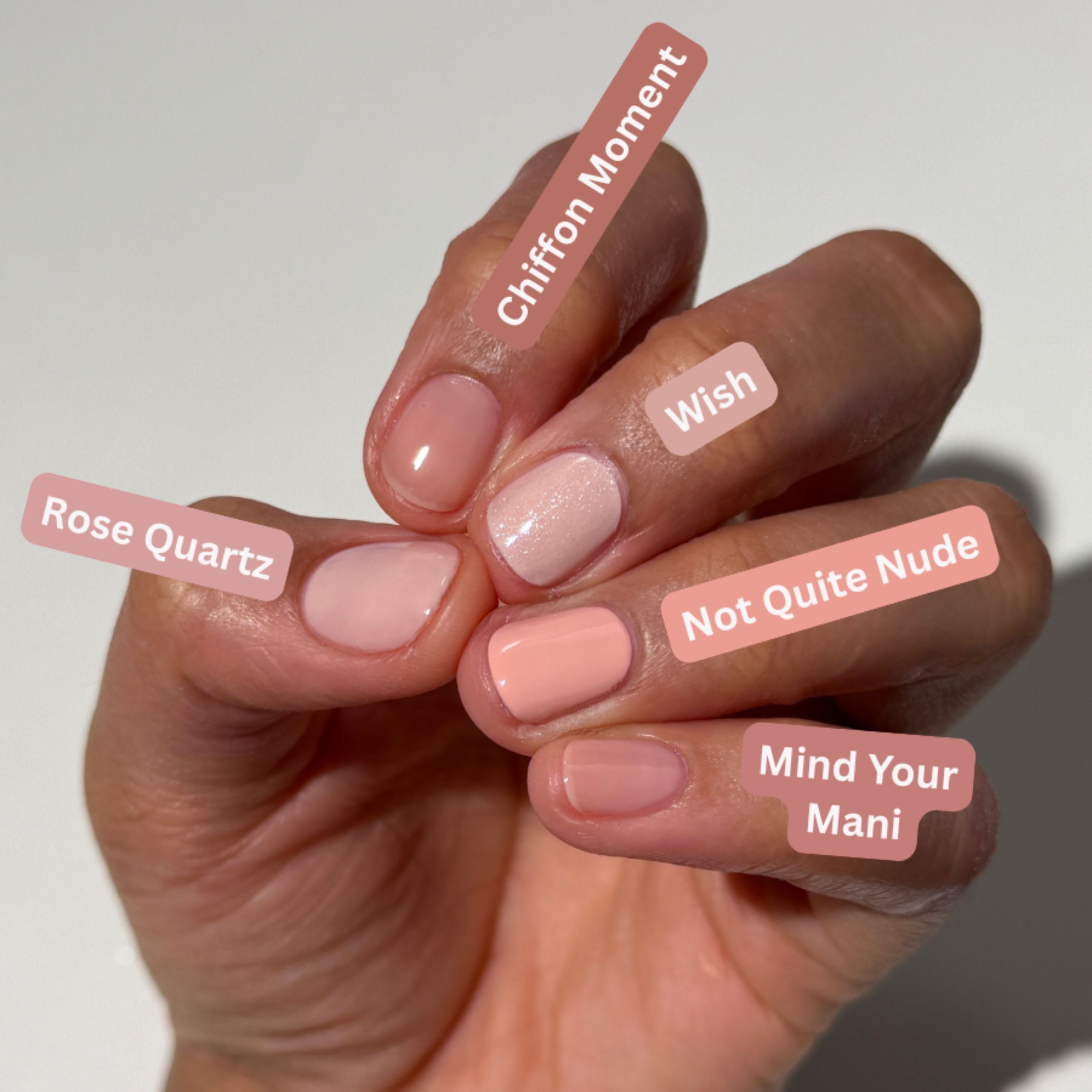 Chiffon Moment Mini